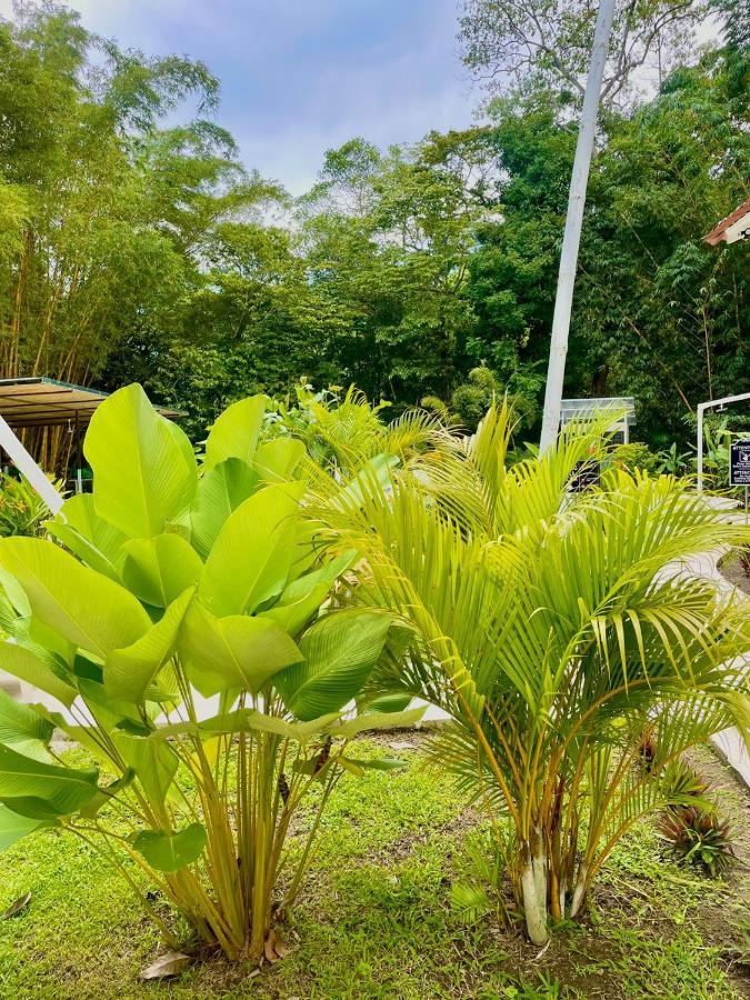 Grand Park Manuel Antonio Hotell Quepos Eksteriør bilde